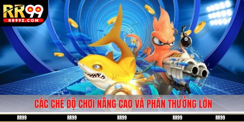 Các chế độ chơi nâng cao và phần thưởng lớn