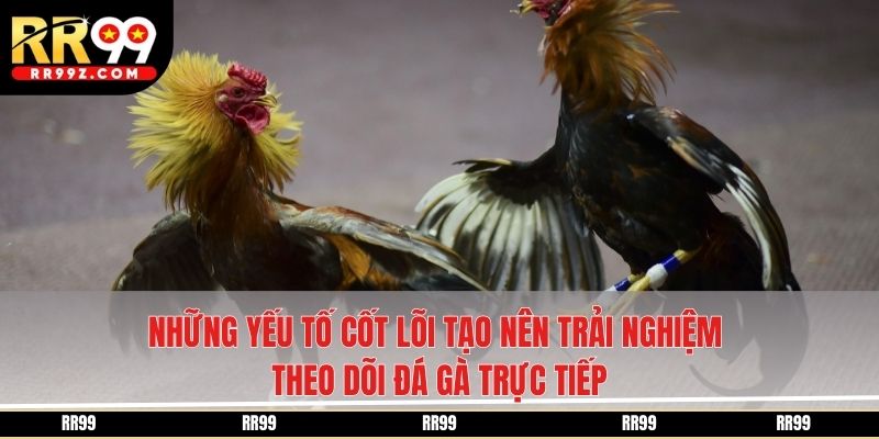 Những yếu tố cốt lõi tạo nên trải nghiệm theo dõi đá gà trực tiếp