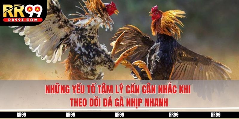 Những yếu tố tâm lý cần cân nhắc khi theo dõi đá gà nhịp nhanh