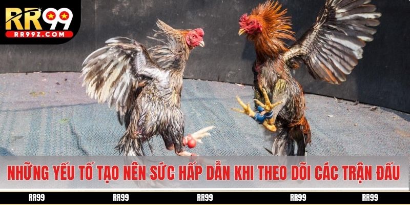 Những yếu tố tạo nên sức hấp dẫn khi theo dõi các trận đấu