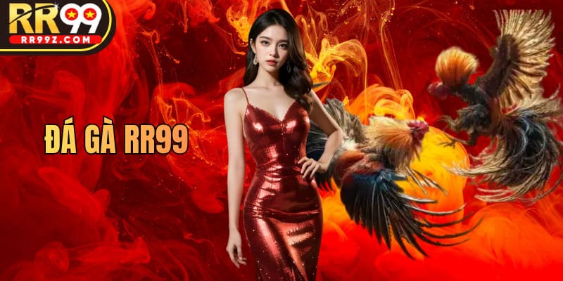 RR99 mang đá gà dân gian lên nền tảng 4.0 siêu hiện đại